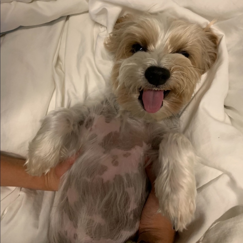 MY LITTLE BABY 🥰